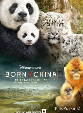 Рождённые в Китае