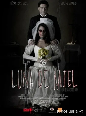 Медовый месяц