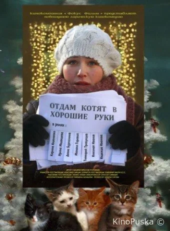 Отдам котят в хорошие руки