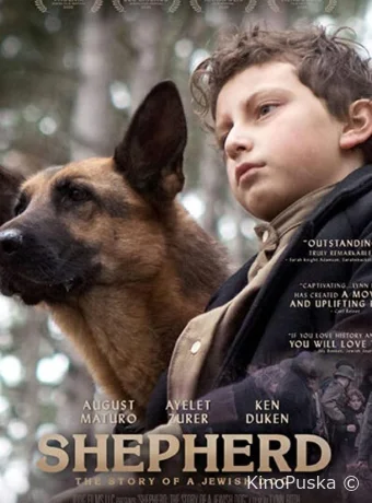 Моя собака — герой