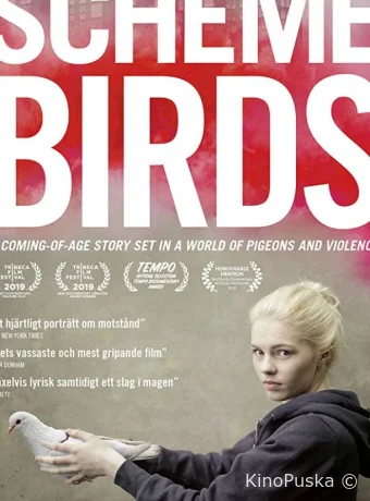 Птички Предместья