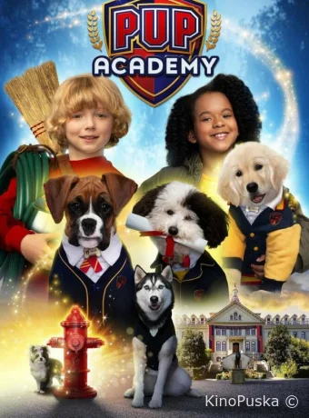 Щенячья академия