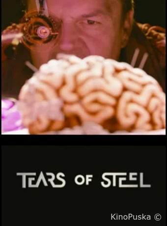 тест