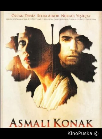 Особняк с виноградными лозами