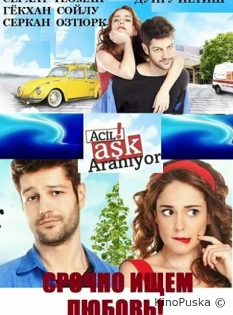 Срочно ищем любовь!