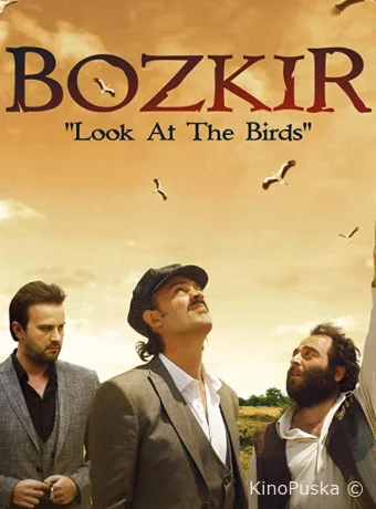 Посмотри на птиц