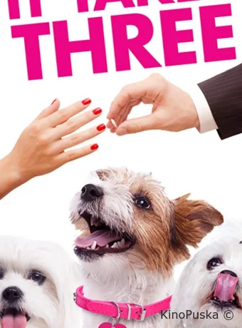 Путешествие трех псов