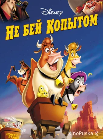 Не бей копытом