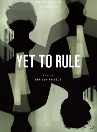 Решение не вынесено