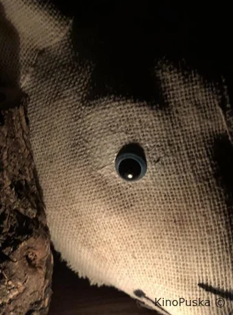 История Марии