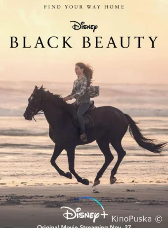 Чёрная Красавица