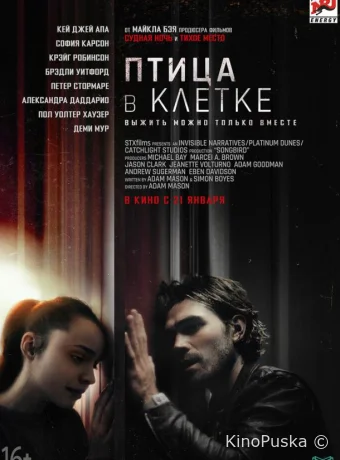 Птица в клетке. Заражение