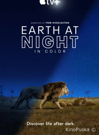 Земля ночью в цвете