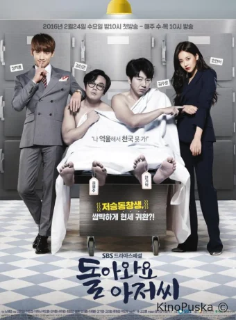 Возвращайтесь, мистер