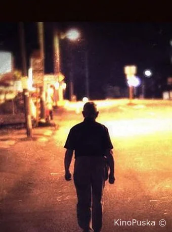 Ночной гость