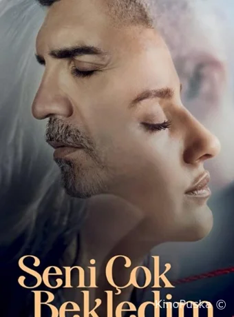 Я так долго тебя ждал