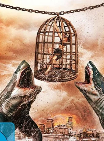 Империя акул