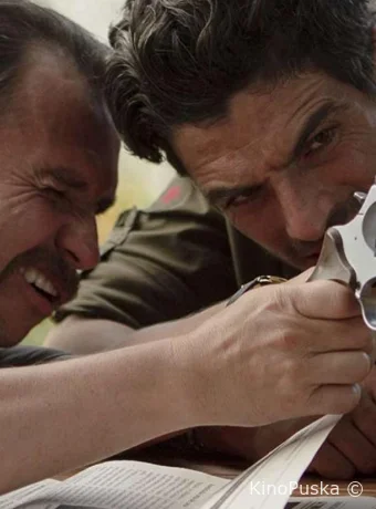 Мойщики собак