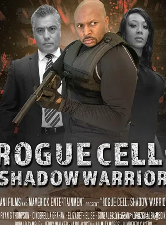 Безумный отряд: воин тени