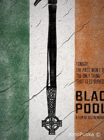 Чёрная заводь