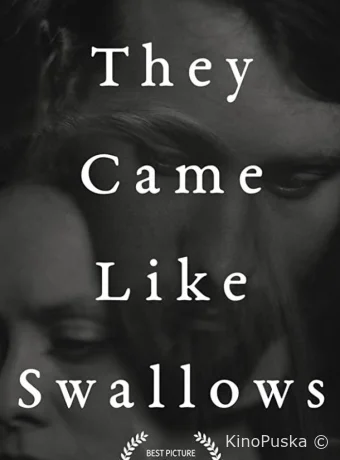 Возвращение ласточек