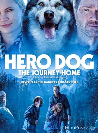 Собака-герой: путешествие домой