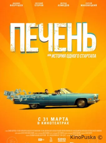 Печень, или История одного стартапа