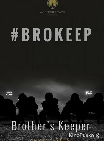 Под огнями стадиона