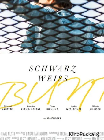 Черный Белый Разноцветный