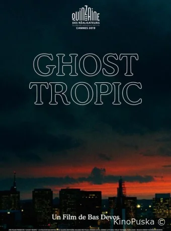 Призрачные тропики