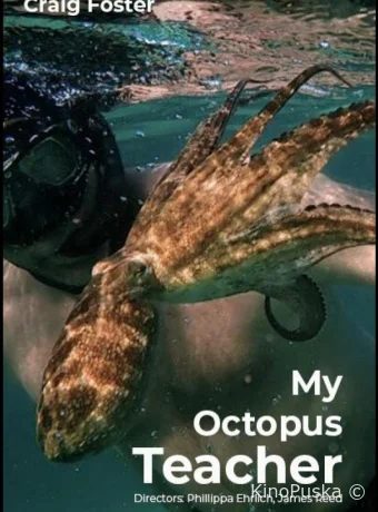 Мой учитель-осьминог