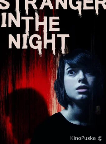 Незнакомец в ночи