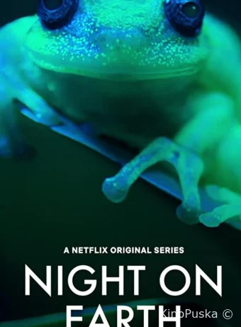 Ночь на Земле