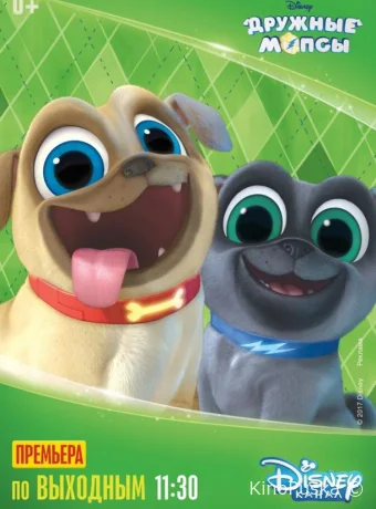 Дружные мопсы