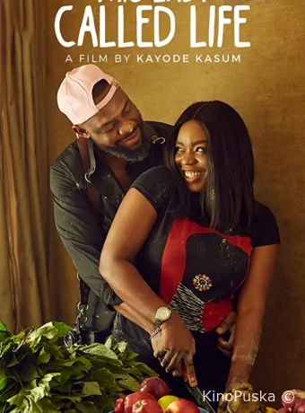 Леди по имени Жизнь