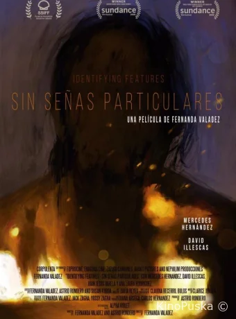 Без особых примет