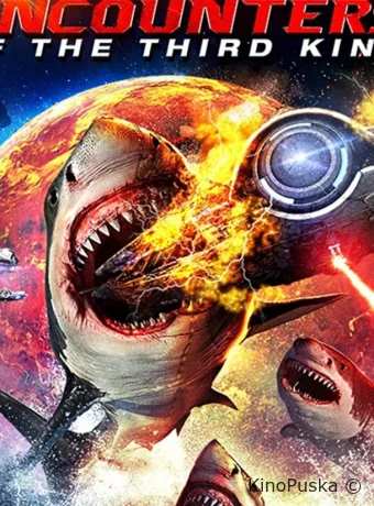 Акульи контакты третьей степени