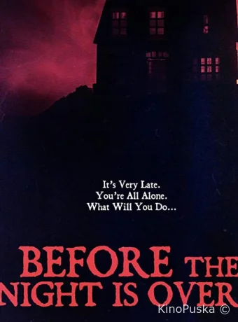 Пока не кончилась ночь