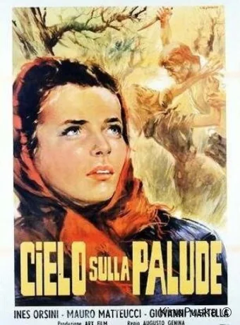 Небо над болотом