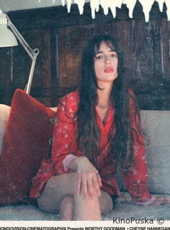 Пересмешницы