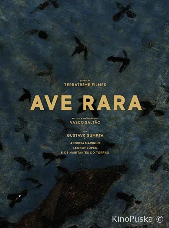 Редкая птица