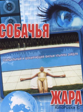 Собачья жара