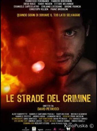 Криминальные пути