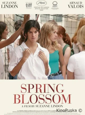 Шестнадцатая весна