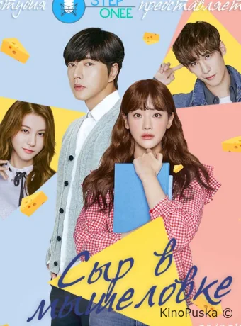 Сыр в мышеловке