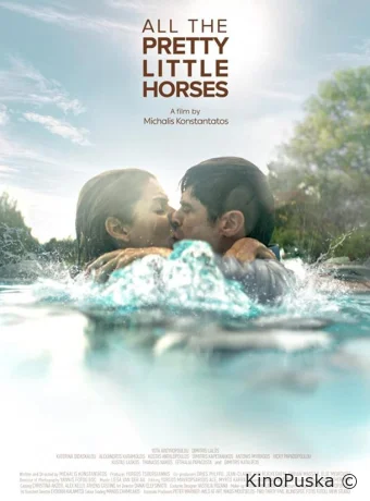 Милые лошадки