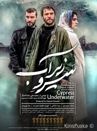 Кипарис под водой