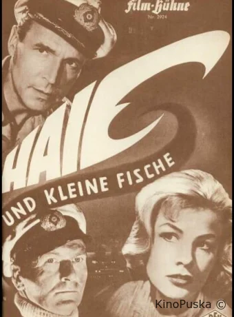 Акулы и мелкие рыбёшки