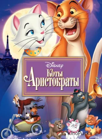 Коты-аристократы