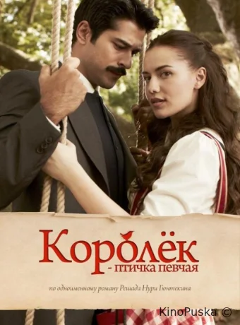 Королёк – птичка певчая